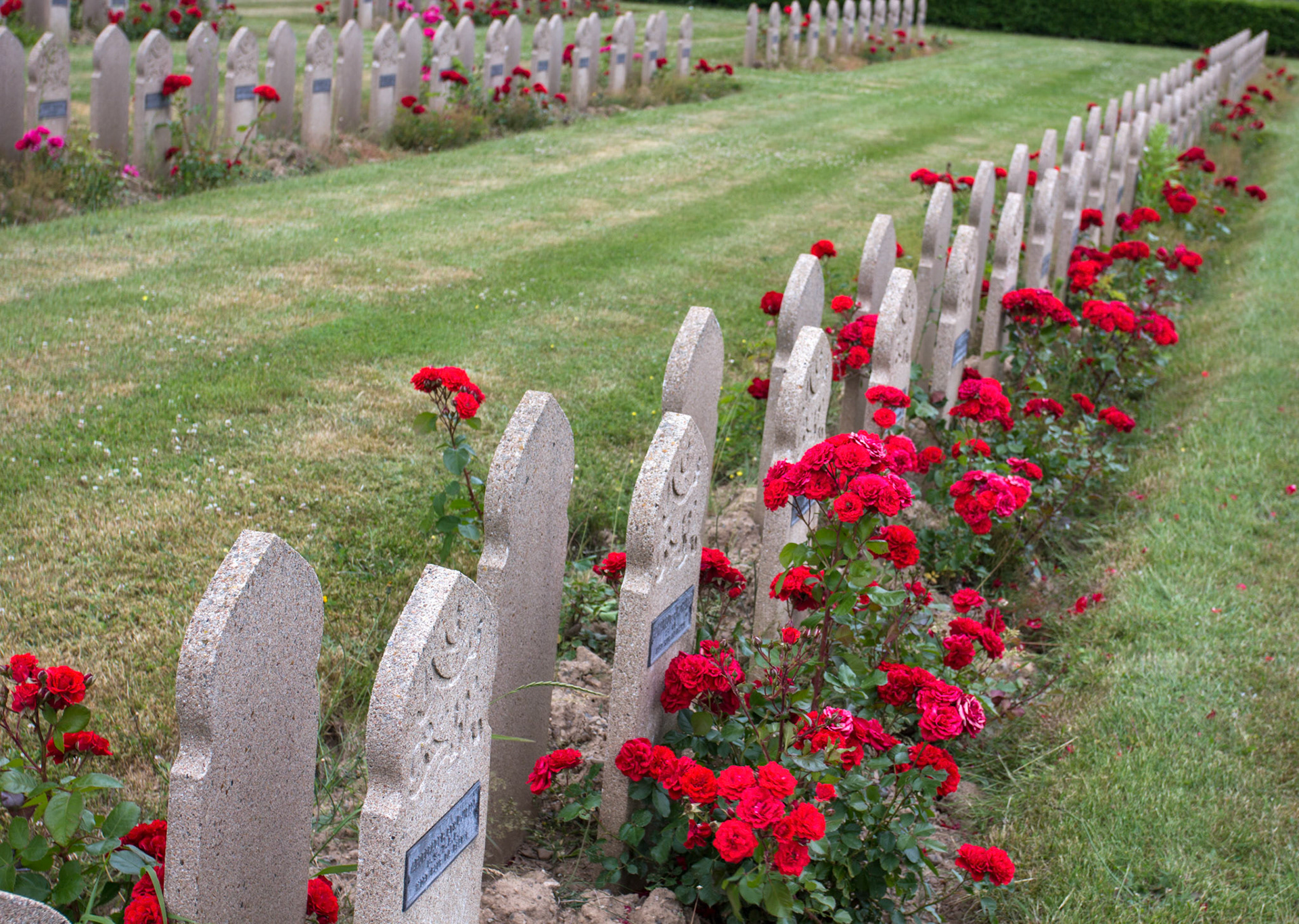 CernayPlease see my other Photographs at: http://www.jamespdeans.co.uk/