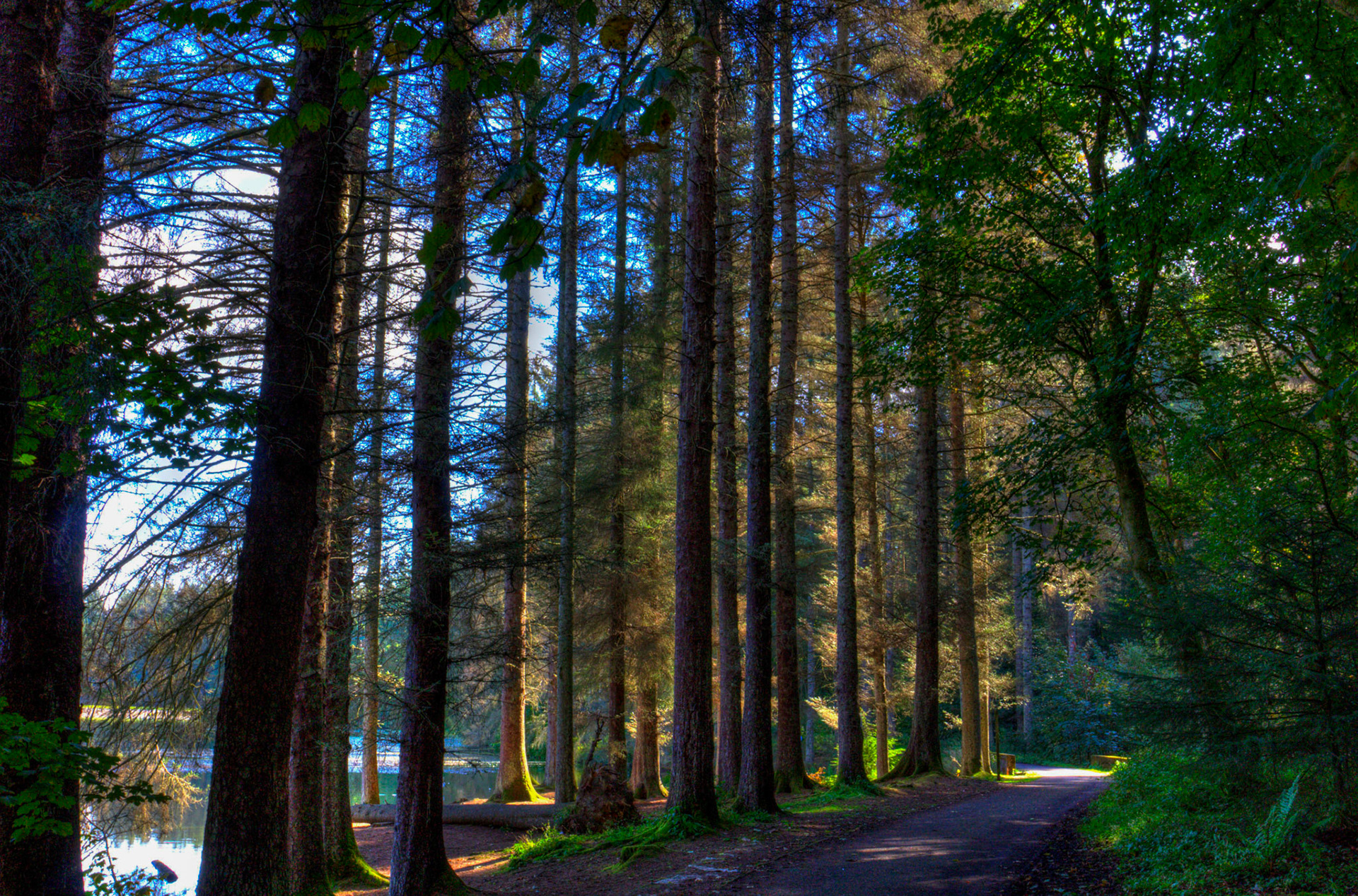 Beecraigs 24 Sept 2025