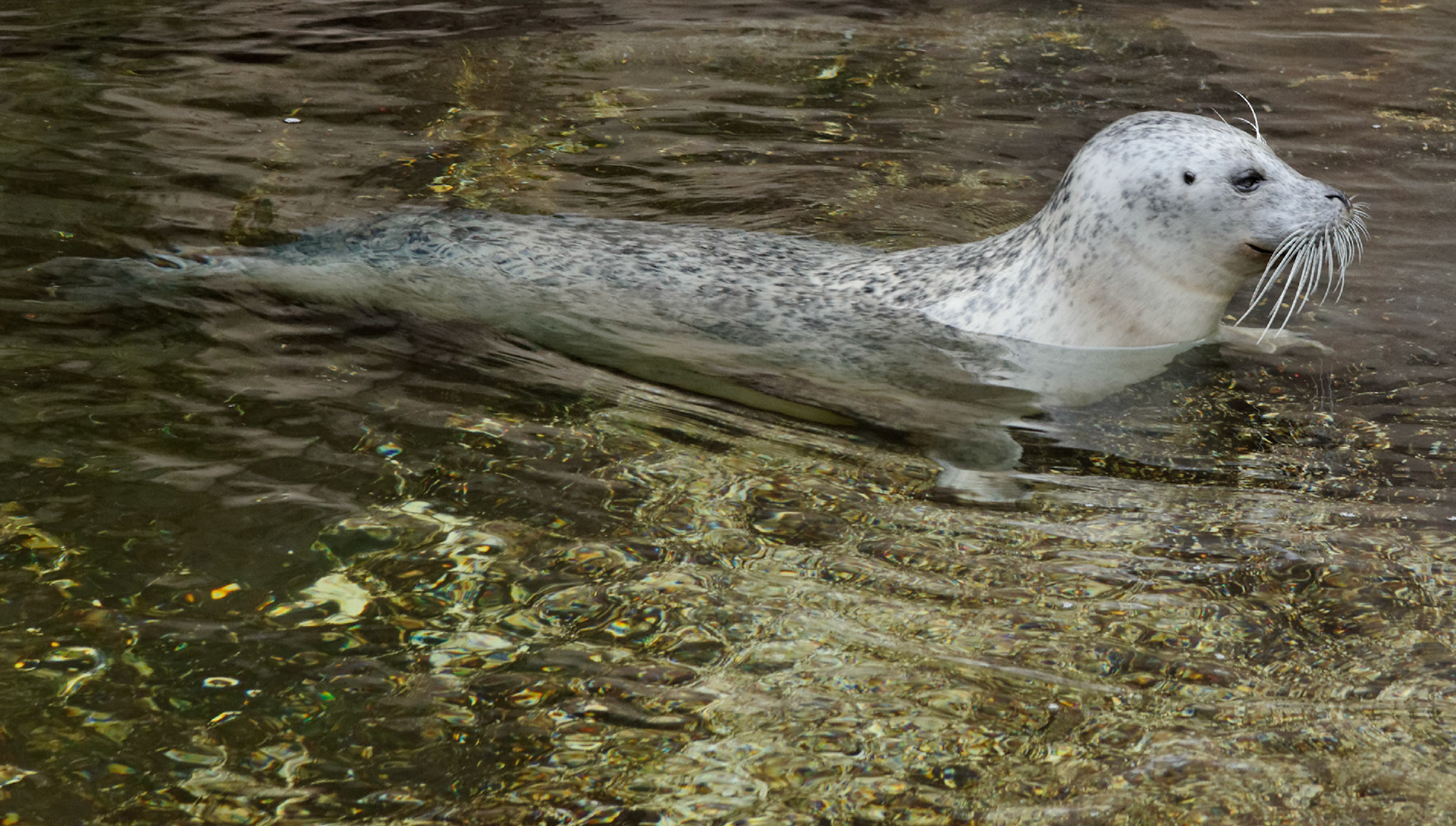 AntwerpPlease see my other Photographs at: http://www.jamespdeans.co.uk/