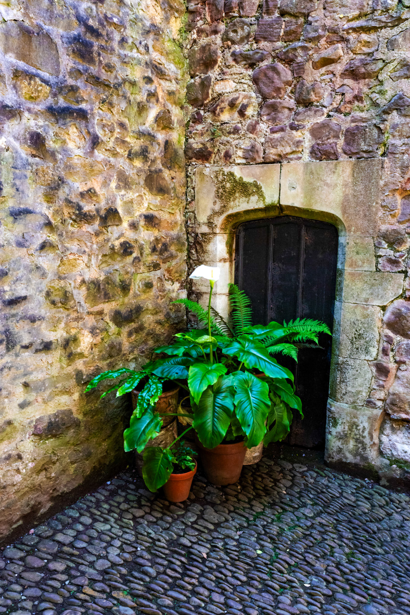 Dunster 22 June 2023