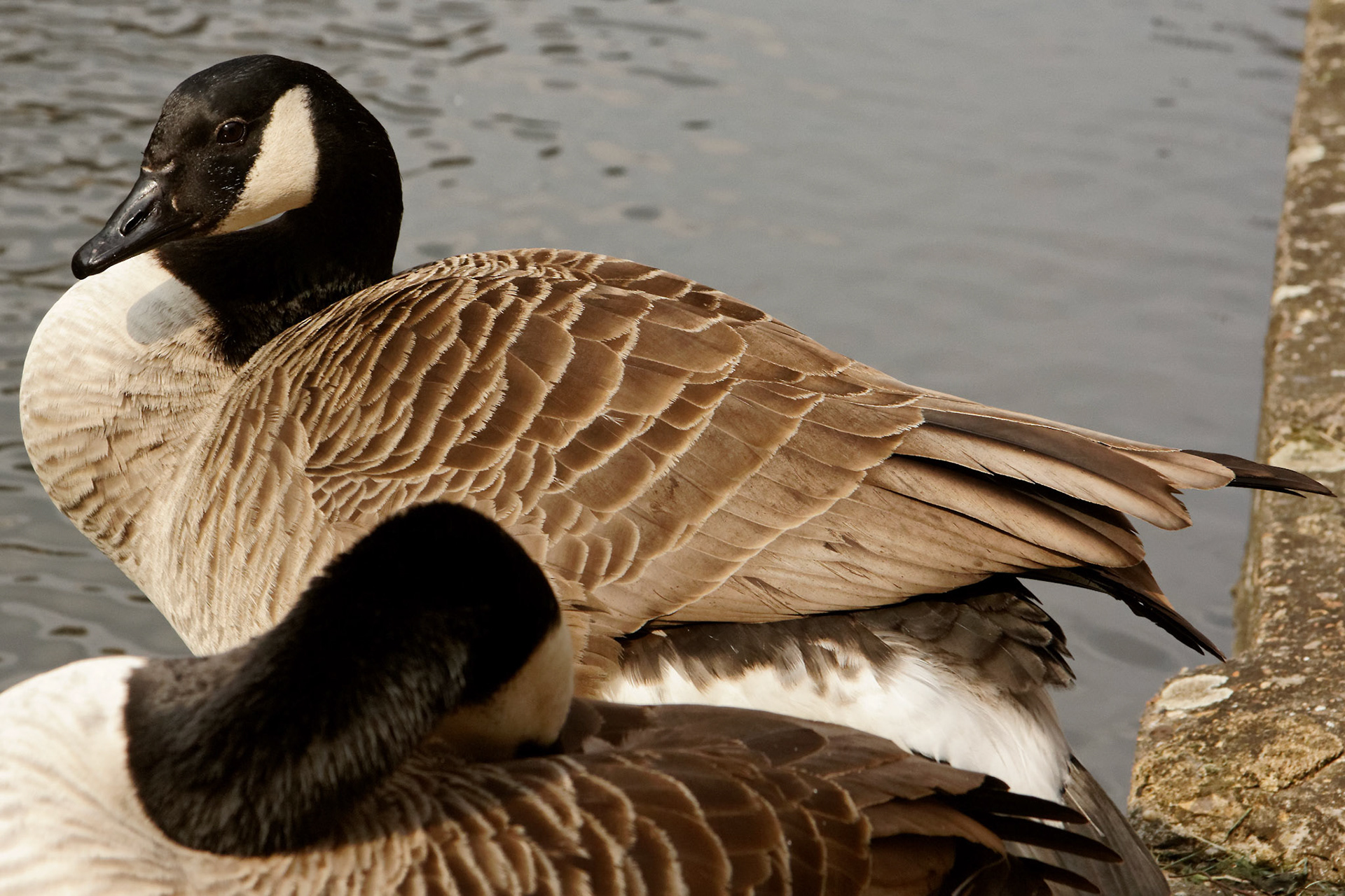 LondonPlease see my other Photographs at: http://www.jamespdeans.co.uk/