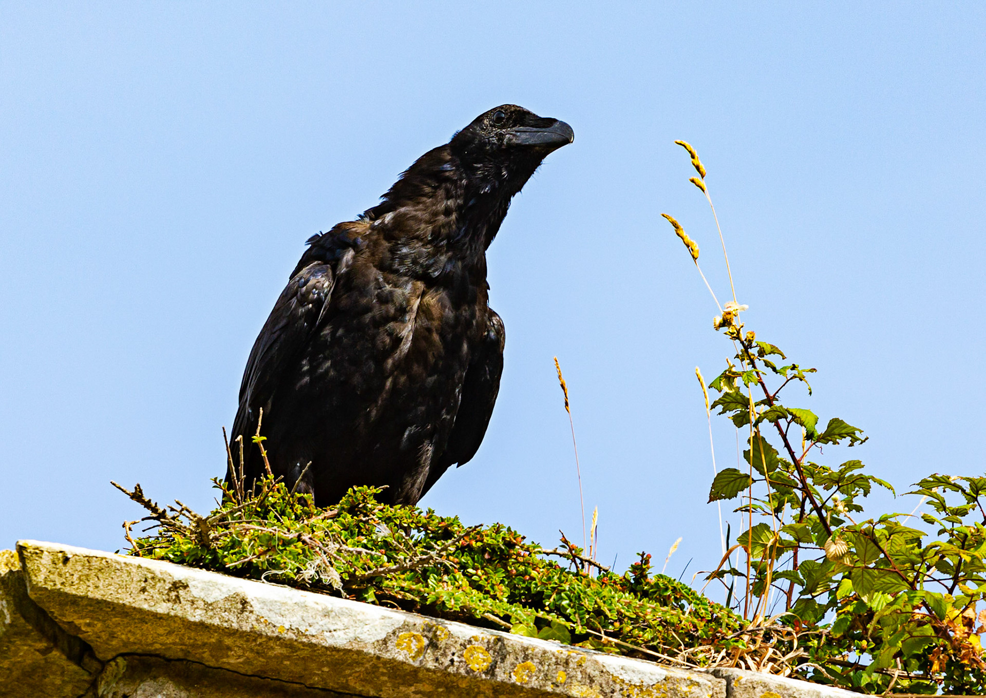 Old St Helen's Church Duver IOW 16 July 2022