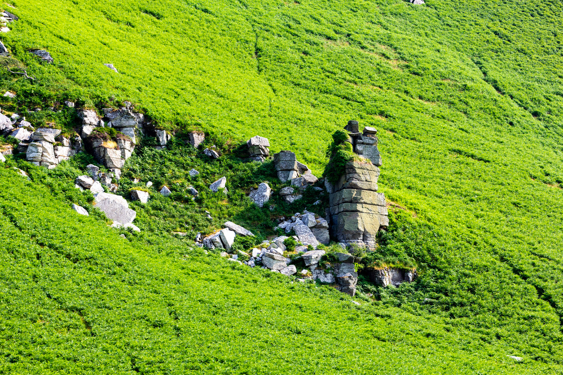 Valley of the Rocks, Lynton 26 June 2023