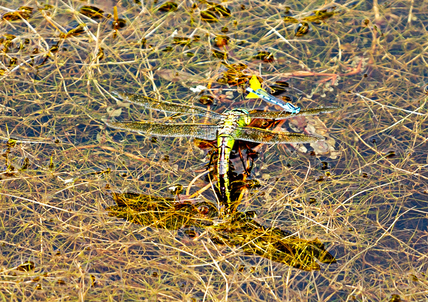 Brockhampton 19 June 2023