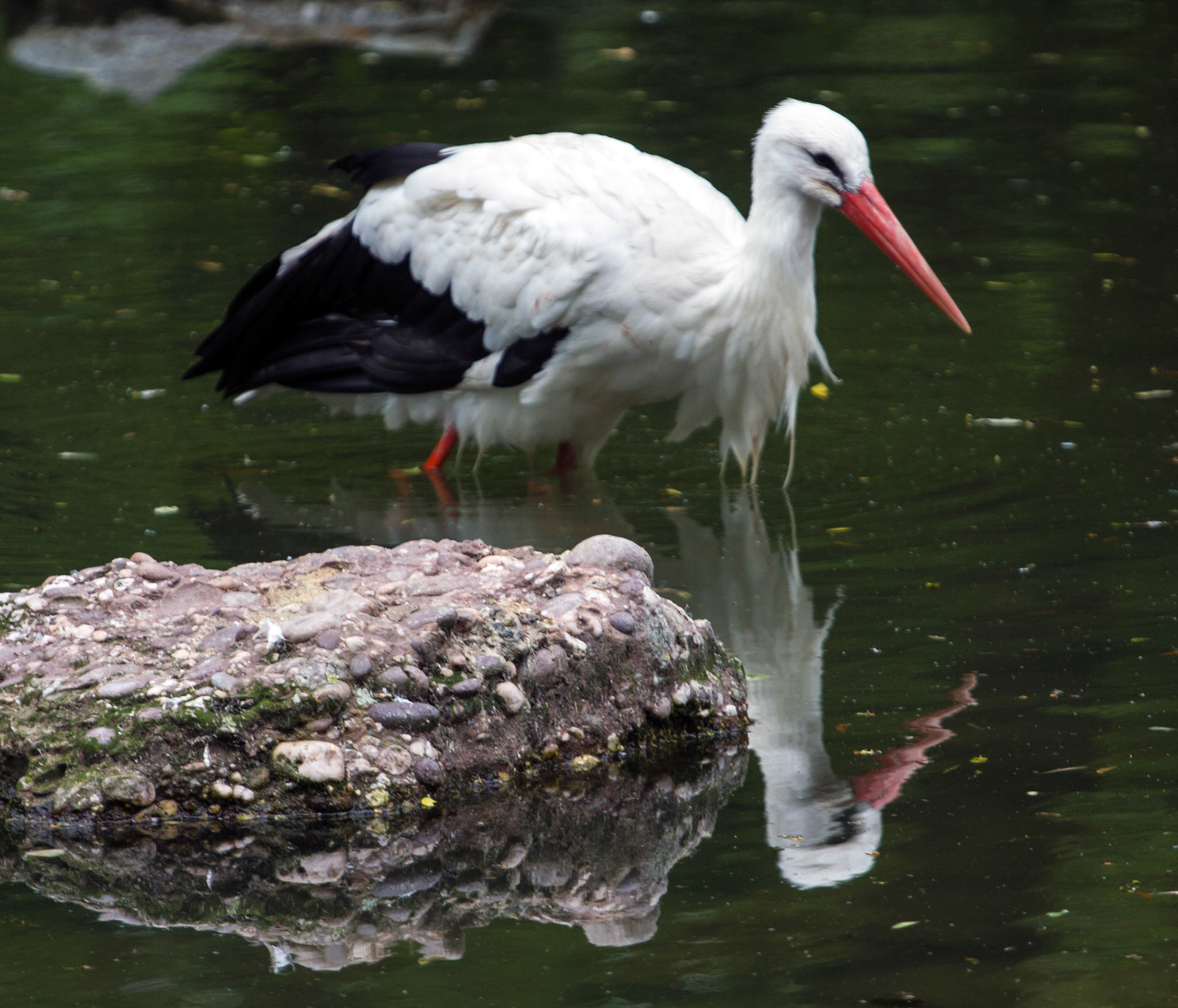 CernayPlease see my other Photographs at: http://www.jamespdeans.co.uk/