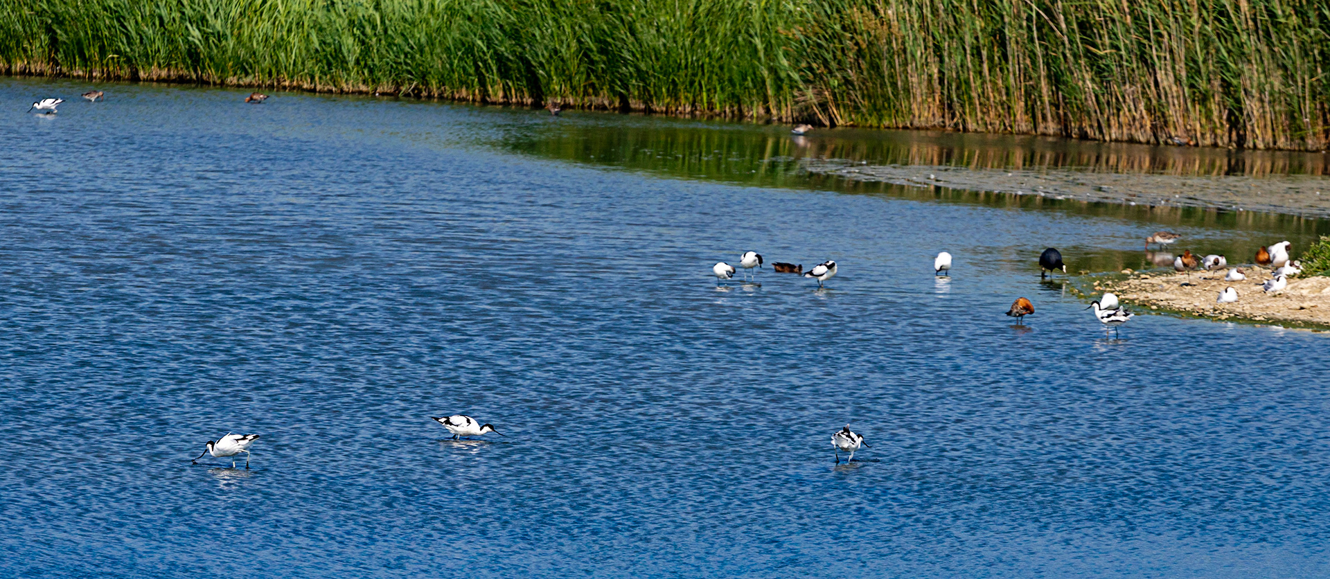Titchfield Haven 20 July 2022