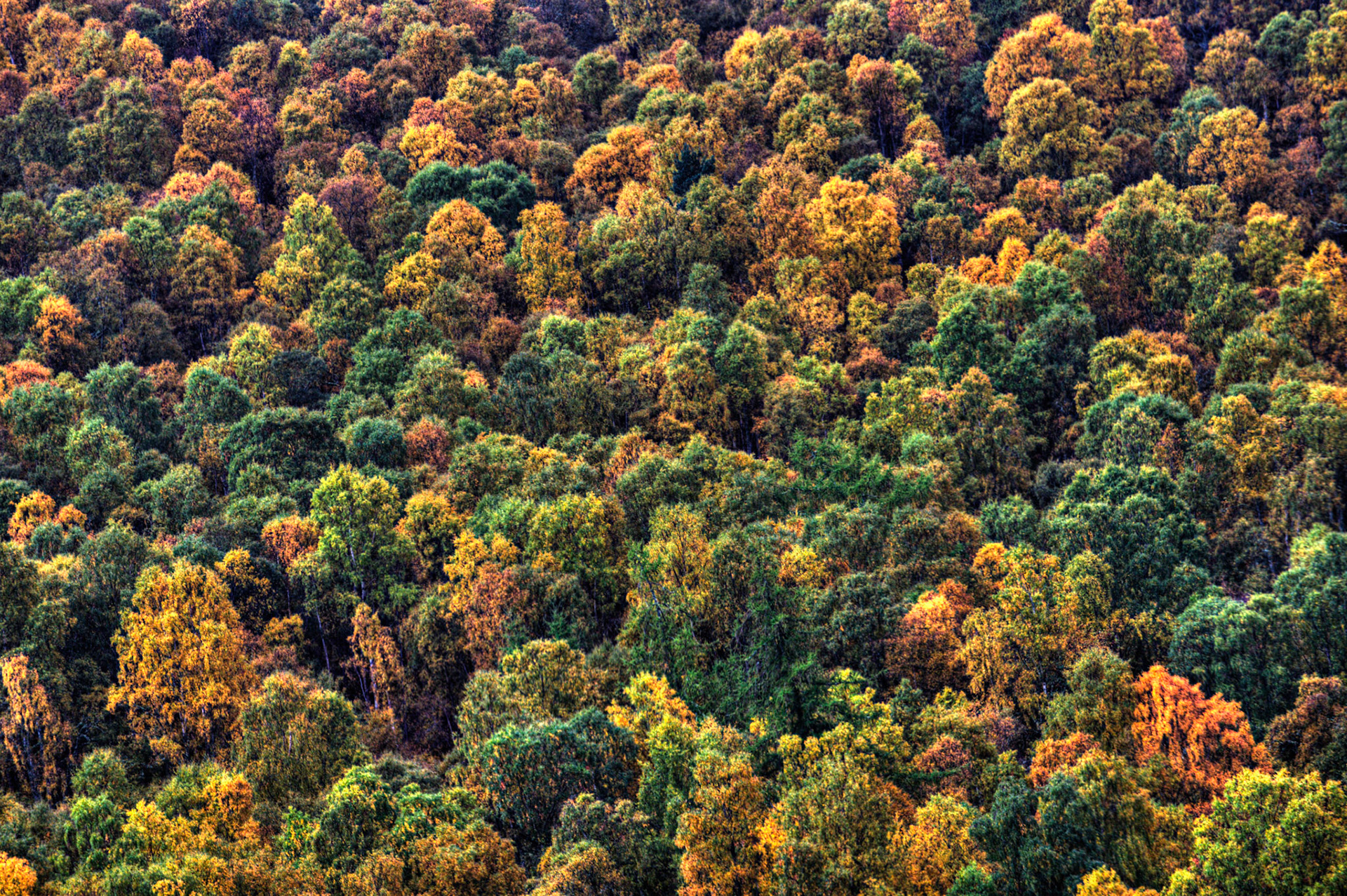 Autumn in Aberdeenshire 14 to 16 October 2022