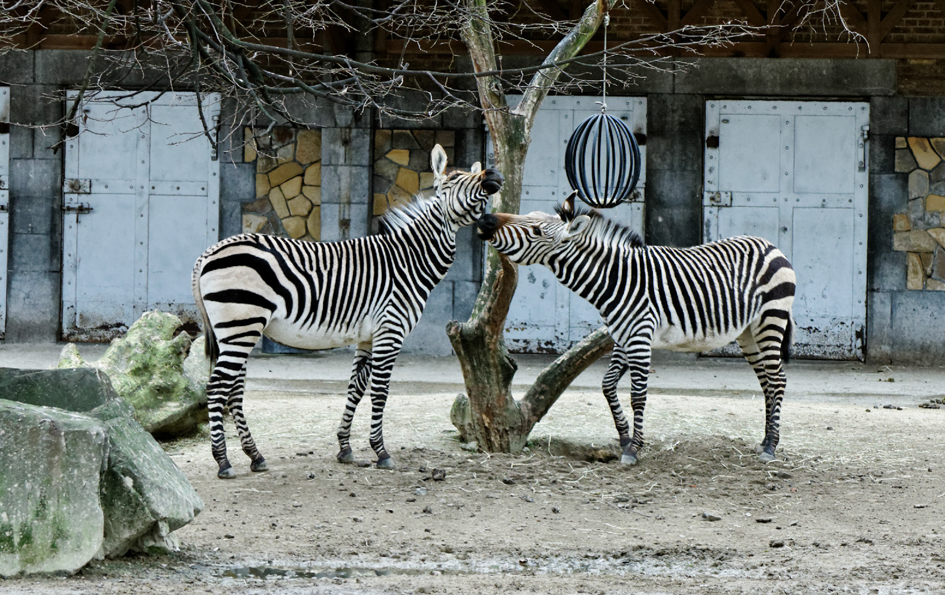 AntwerpPlease see my other Photographs at: http://www.jamespdeans.co.uk/