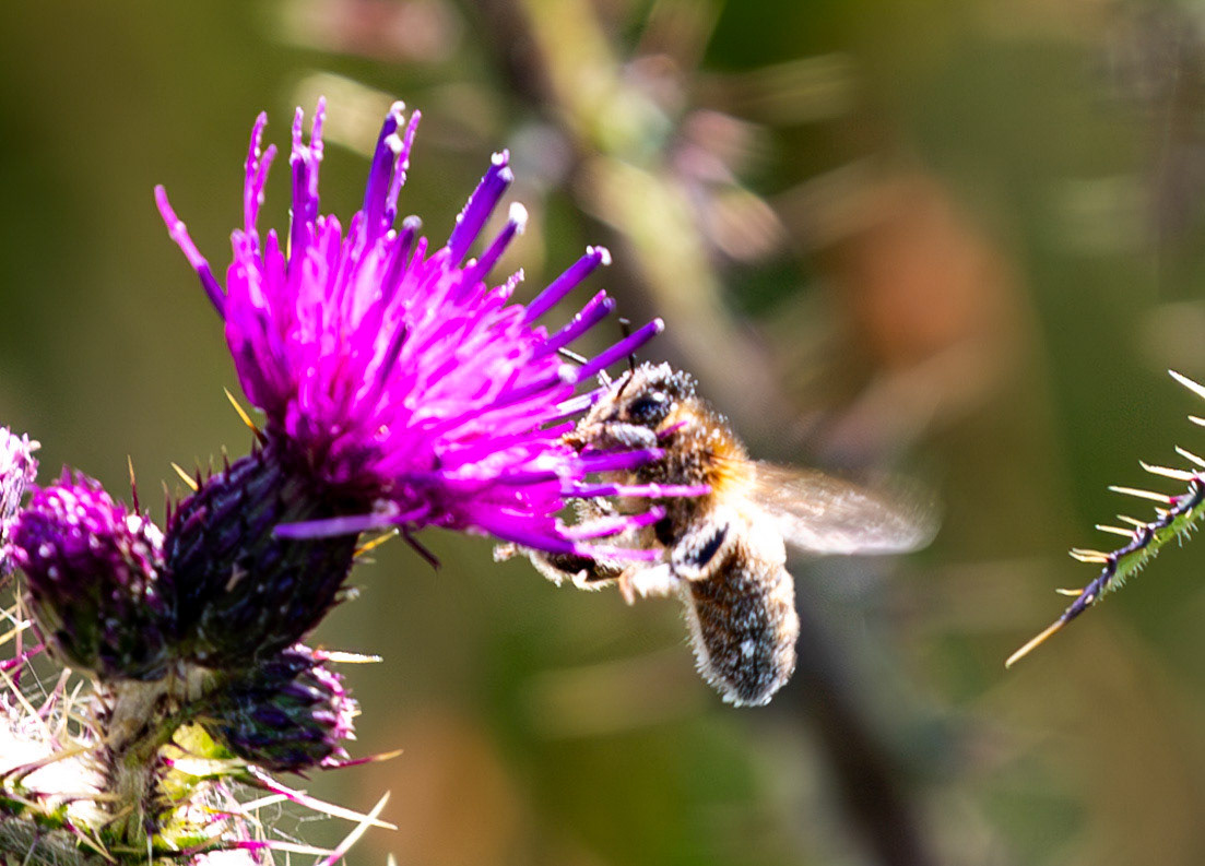 Harperrig 31 July 2024