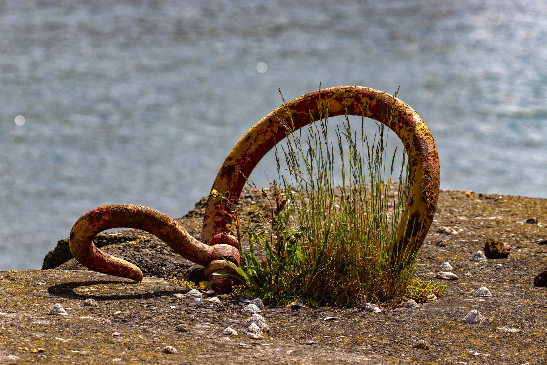 Kirkcaldy Harbour 23 May 2026