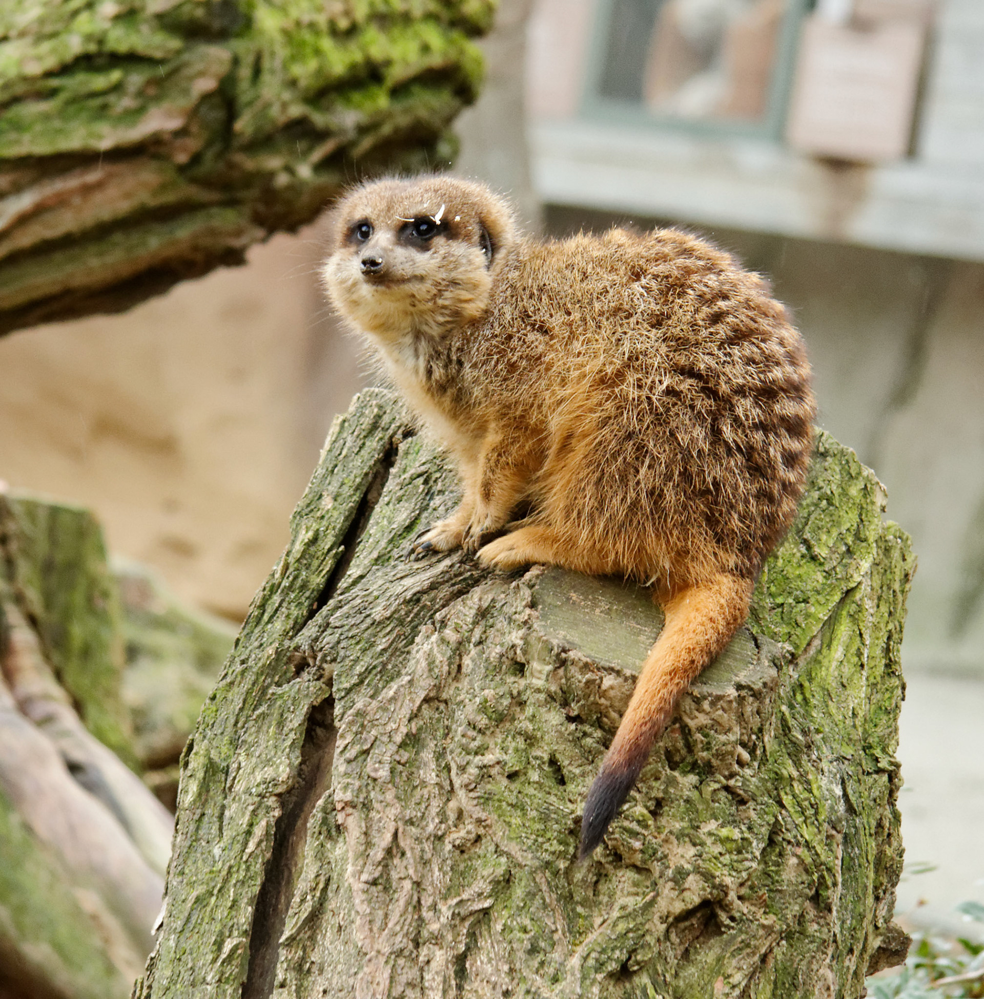 AntwerpPlease see my other Photographs at: http://www.jamespdeans.co.uk/