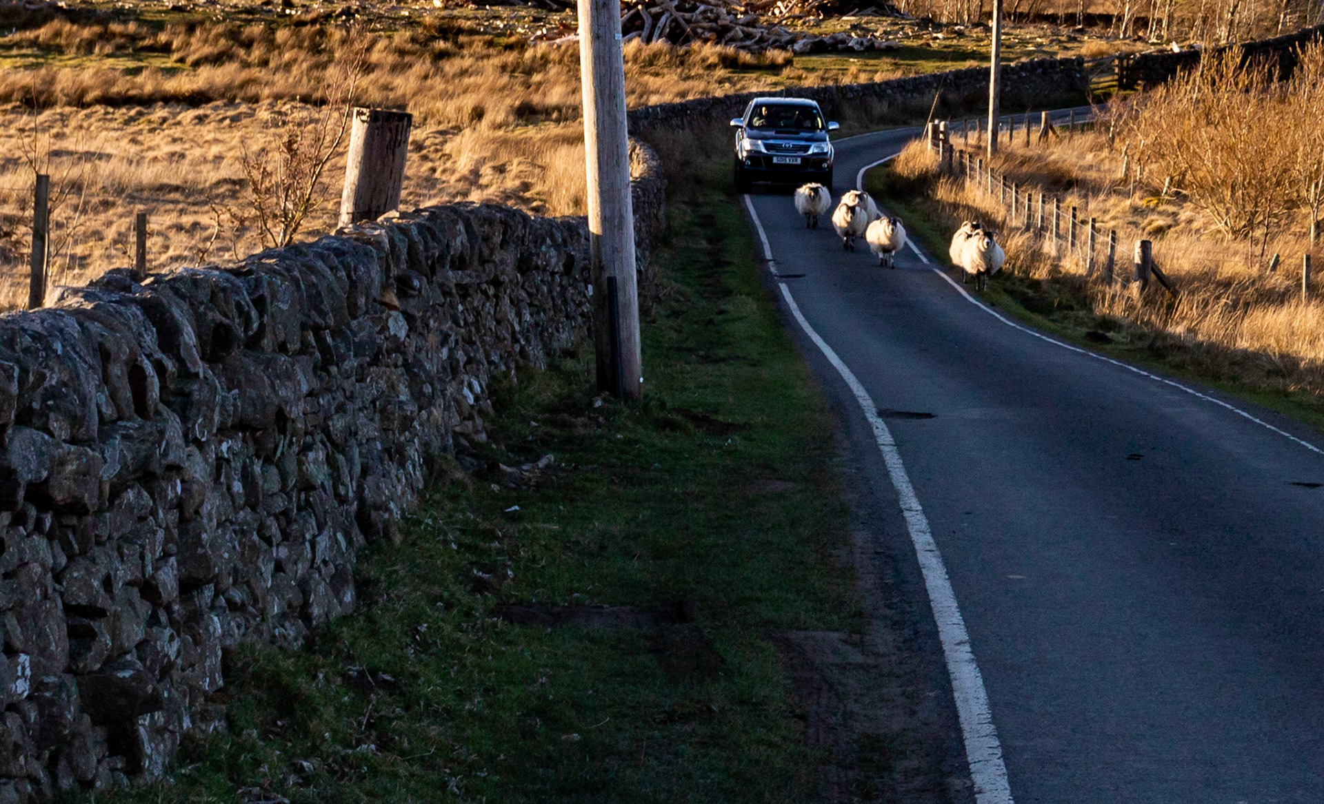 Harperrig 05 April 2021Please see my other photos at JamesPDeans.co.uk