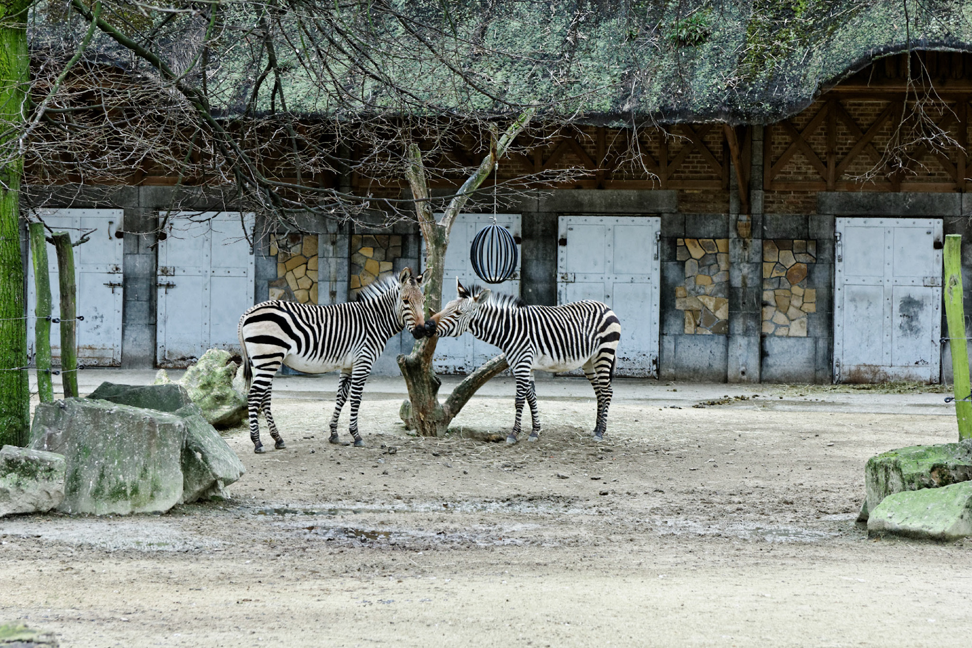 AntwerpPlease see my other Photographs at: http://www.jamespdeans.co.uk/