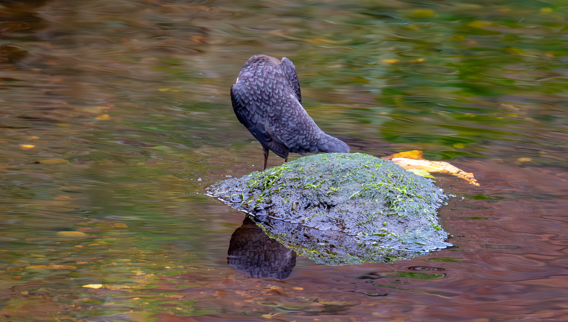 Largs 08 October 2024