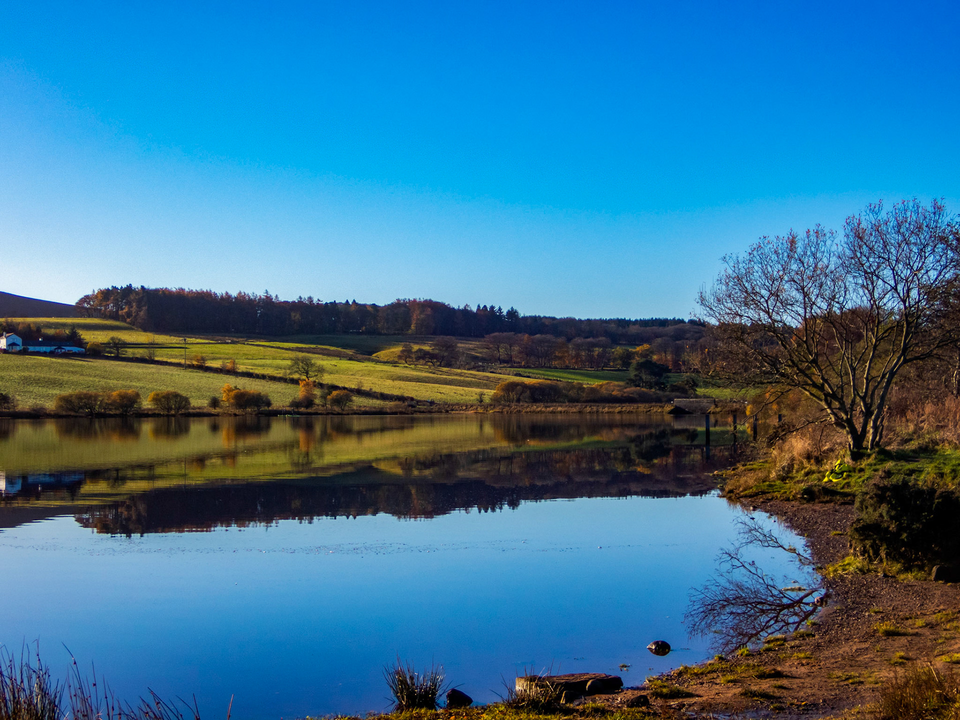 Threipmuir 13 Nov 2021 Please see my other photos at JamesPDeans.co.uk