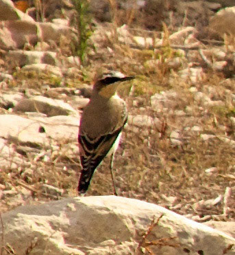 MaltaPlease see my other Photographs at: http://www.jamespdeans.co.uk/