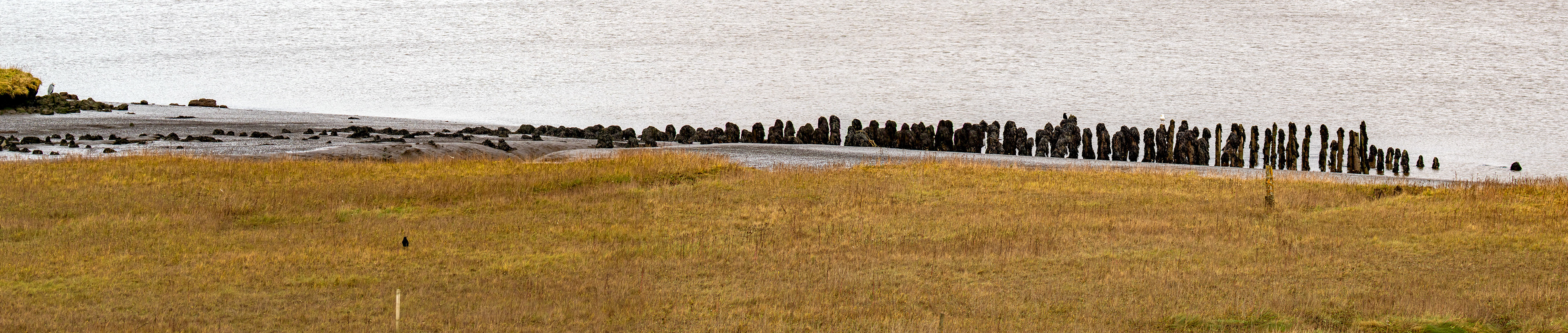 Higgins Neuk 23 Oct 2024