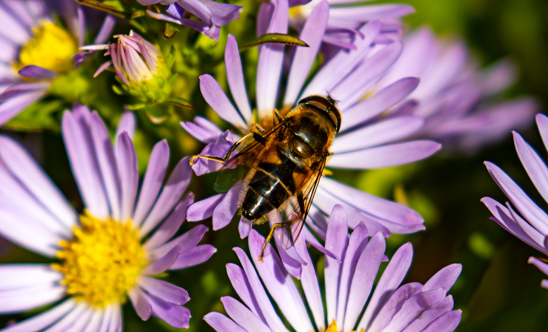 The Knock 12 Sept 2024