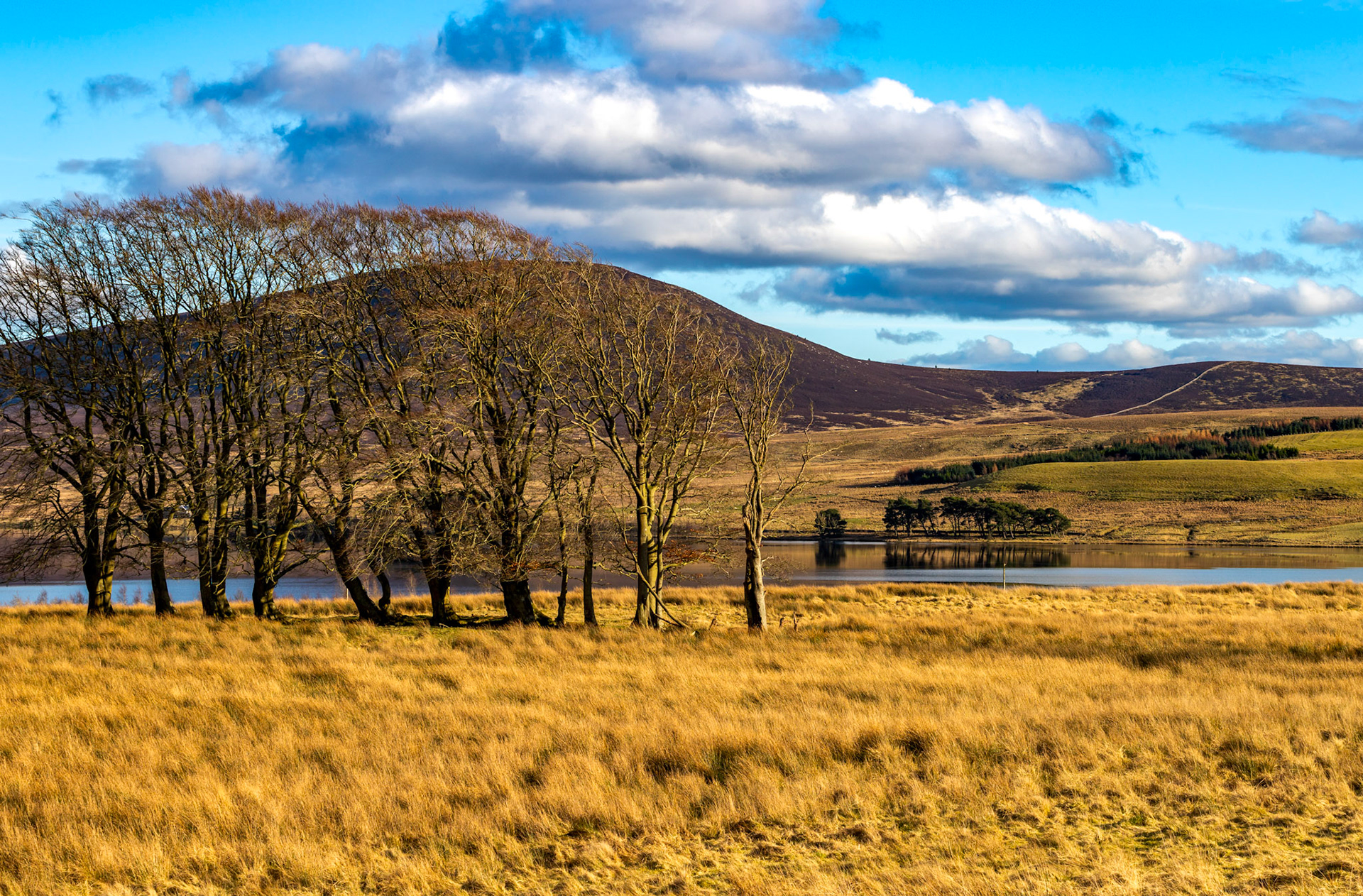 Harperrig Reservoir 26 Feb 2024