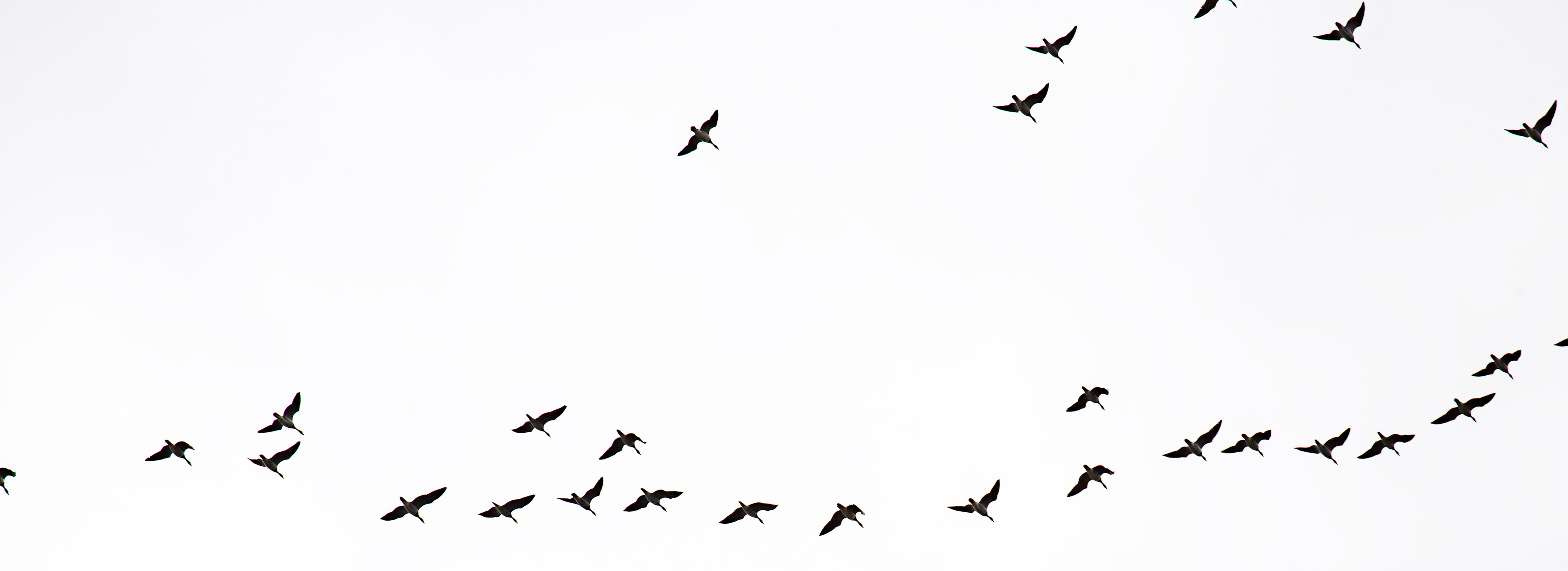 Bavelaw 24 Sept 2025