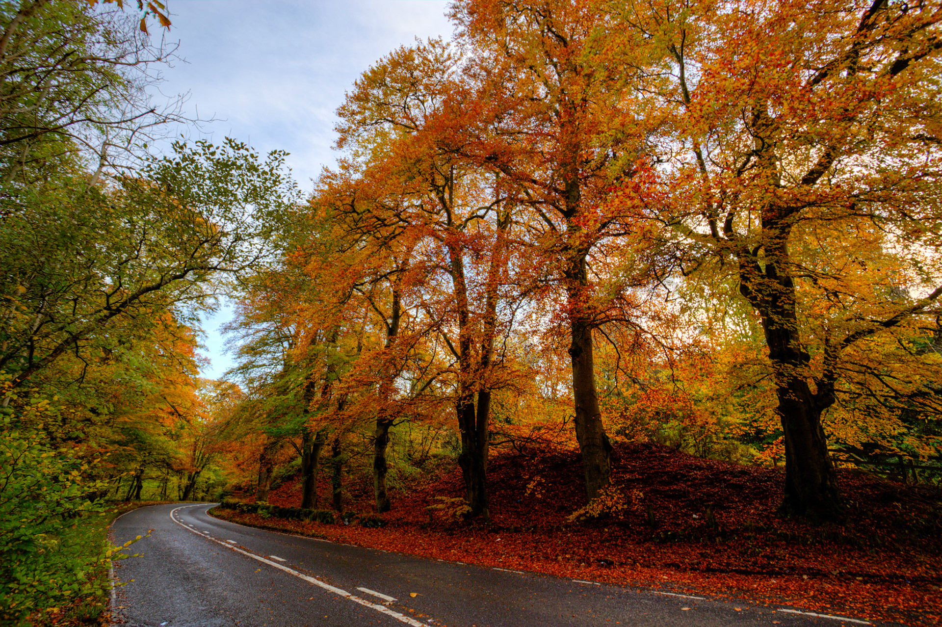 Glenfarg. Autumnal Tour around Perthshire 19 October 2024