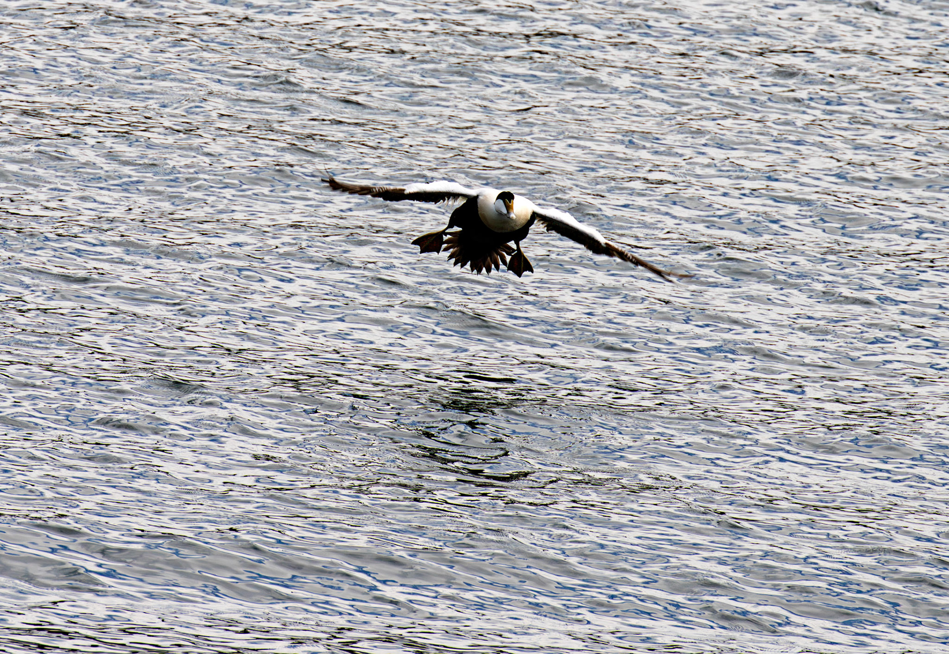 Kirkcaldy Harbour 23 May 2026