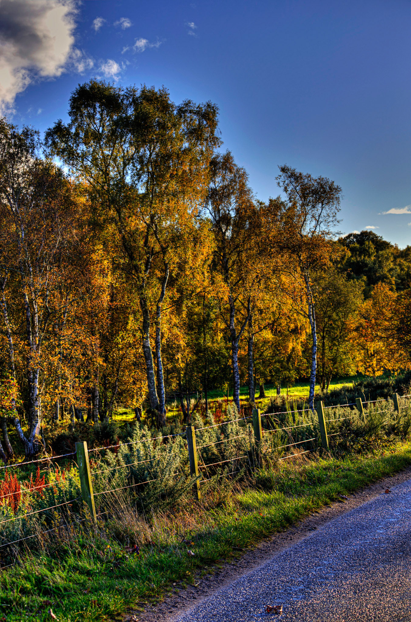Autumn in Aberdeenshire 14 to 16 October 2022