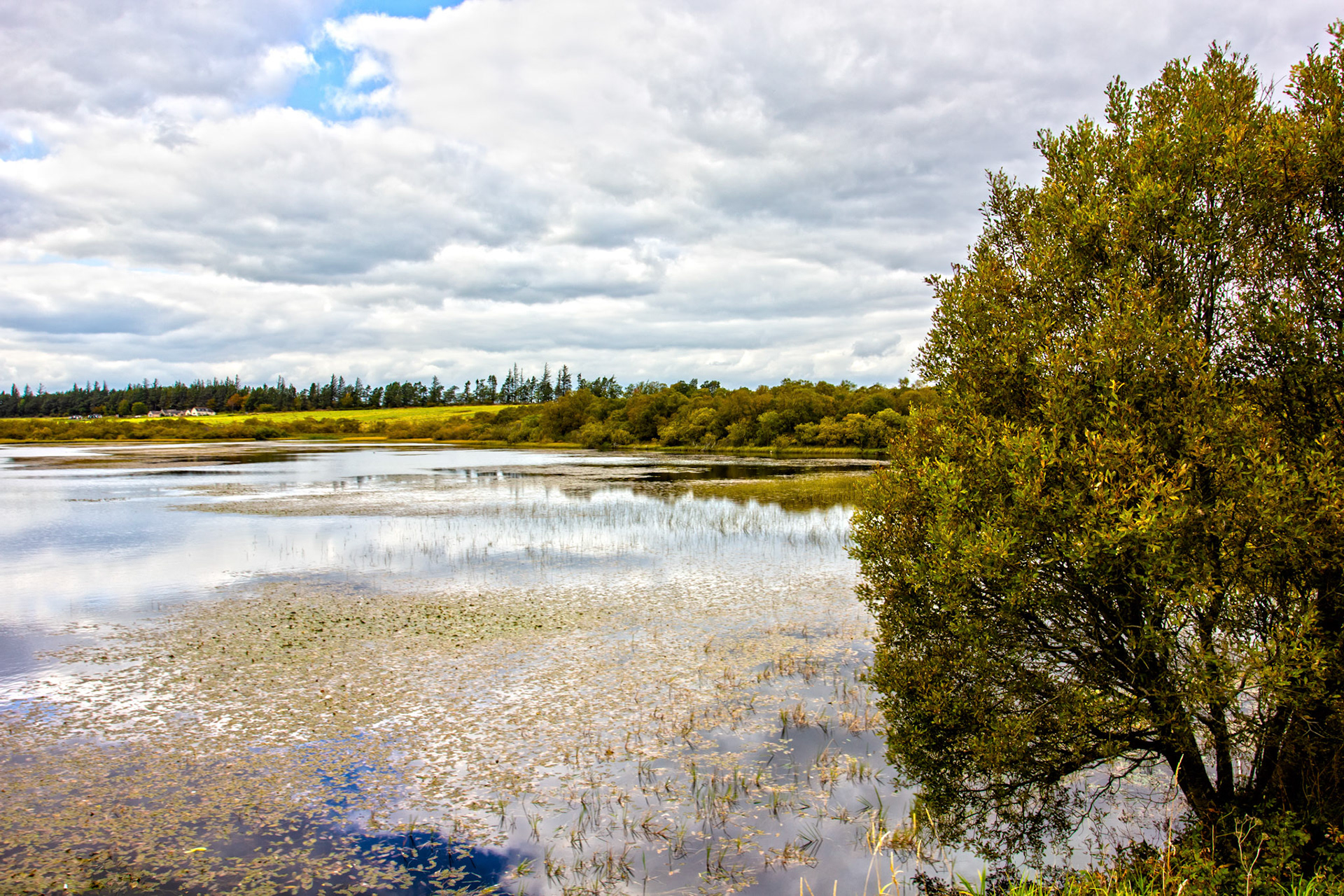 Bavelaw 24 Sept 2025