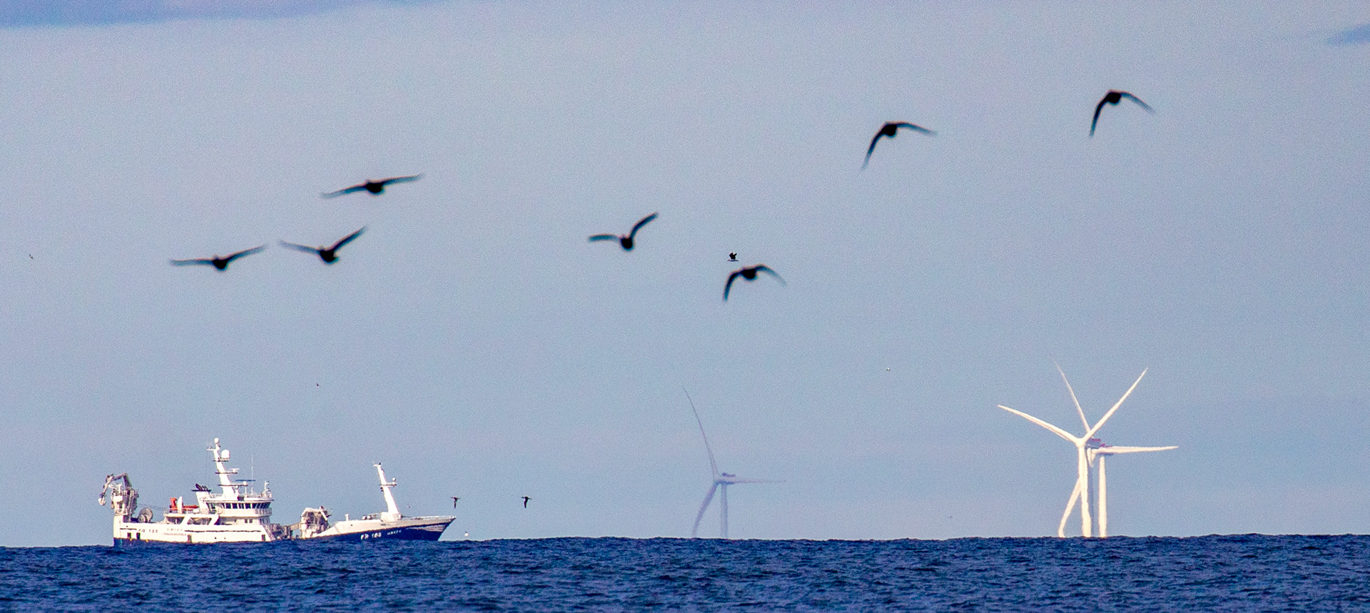 Belhaven 29 Sept 2024