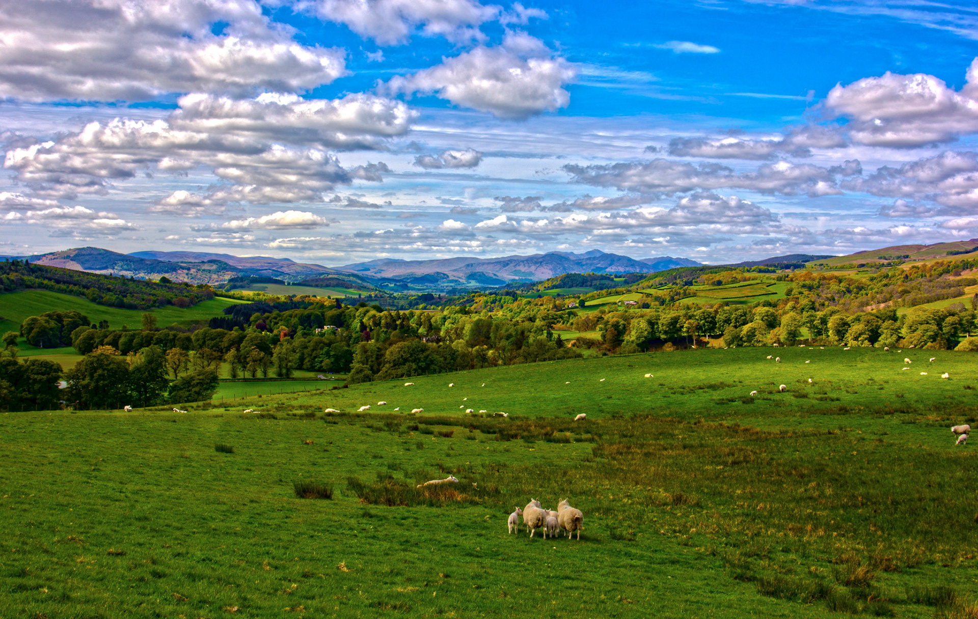 View of Monzie, near Crieff  16 May 2026
