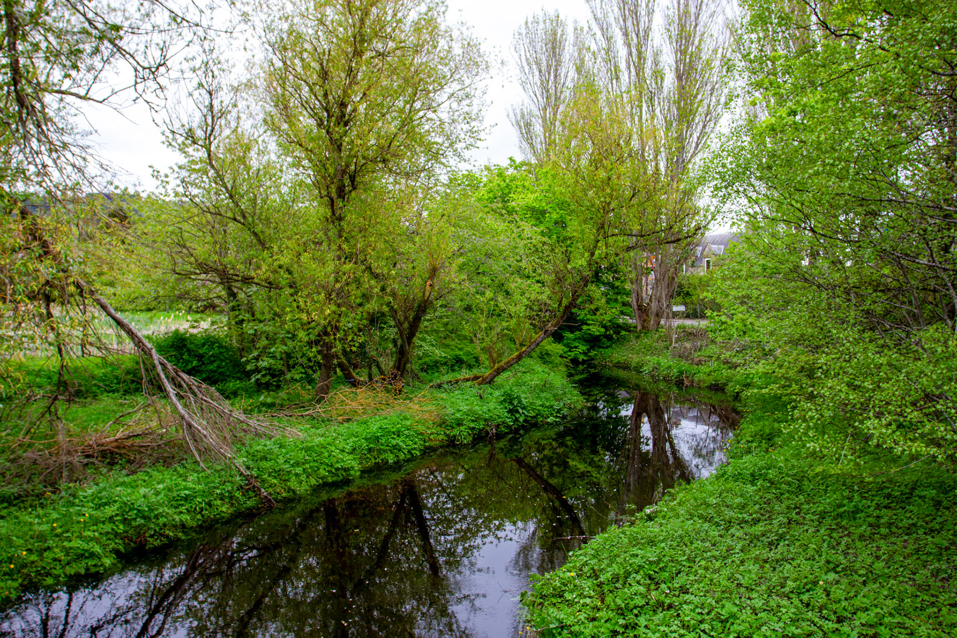 Dingwall - Peffery Canal &amp; Harbour 06 May 2024