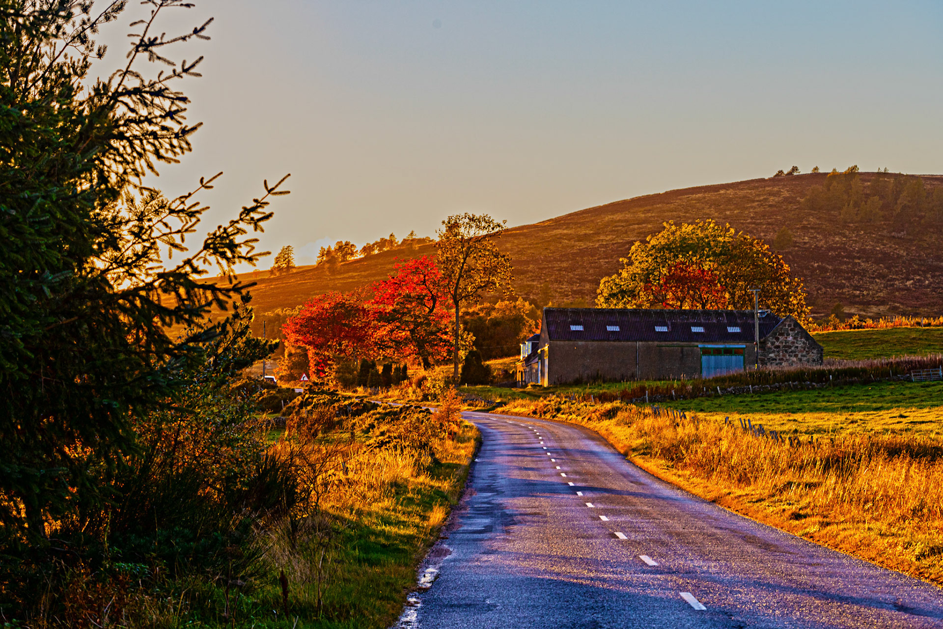Autumn in Aberdeenshire 14 to 16 October 2022