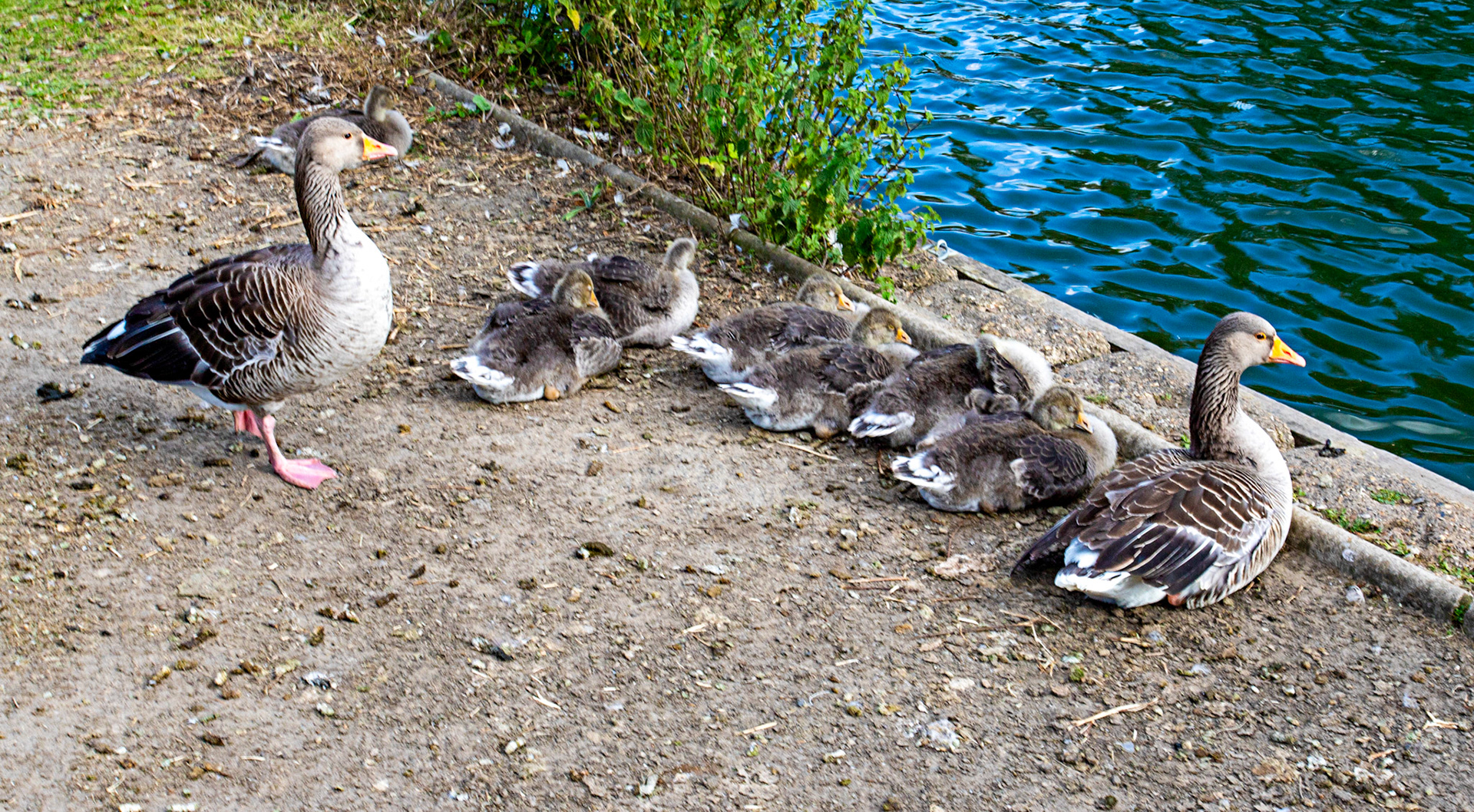 Reading 08 June 2024