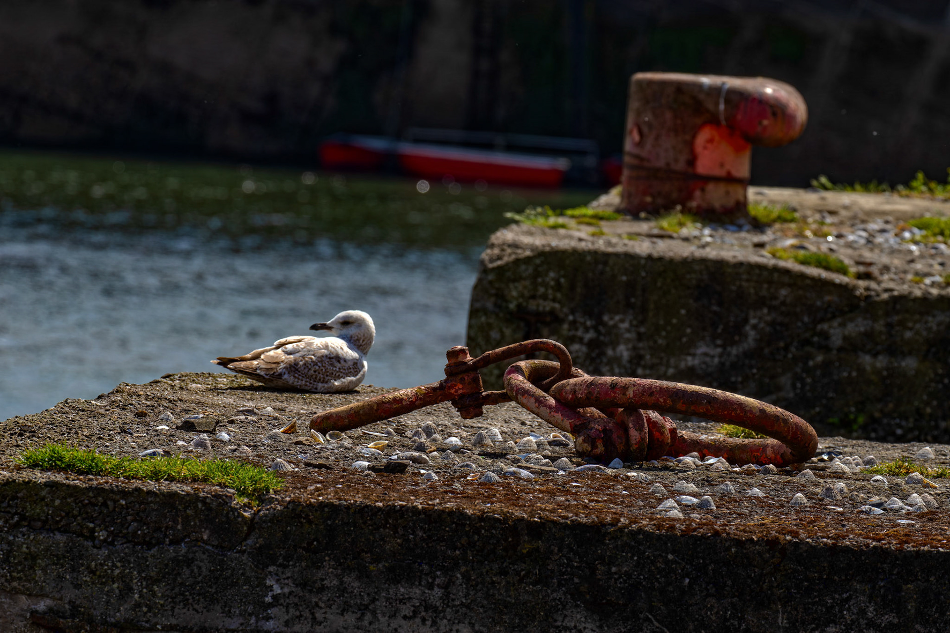 Kirkcaldy Harbour 23 May 2026