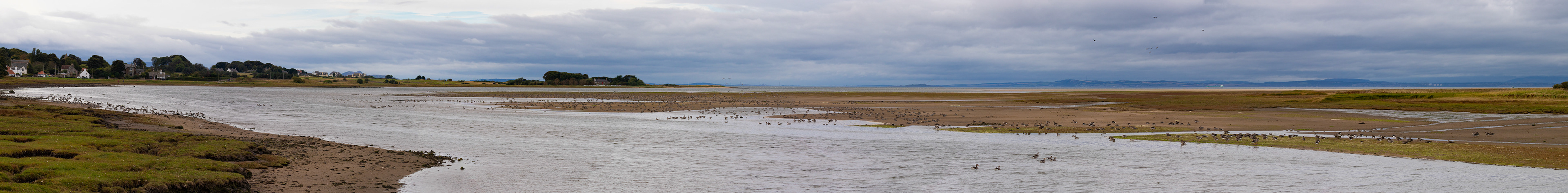 Aberlady Bay 14 Sept 2024
