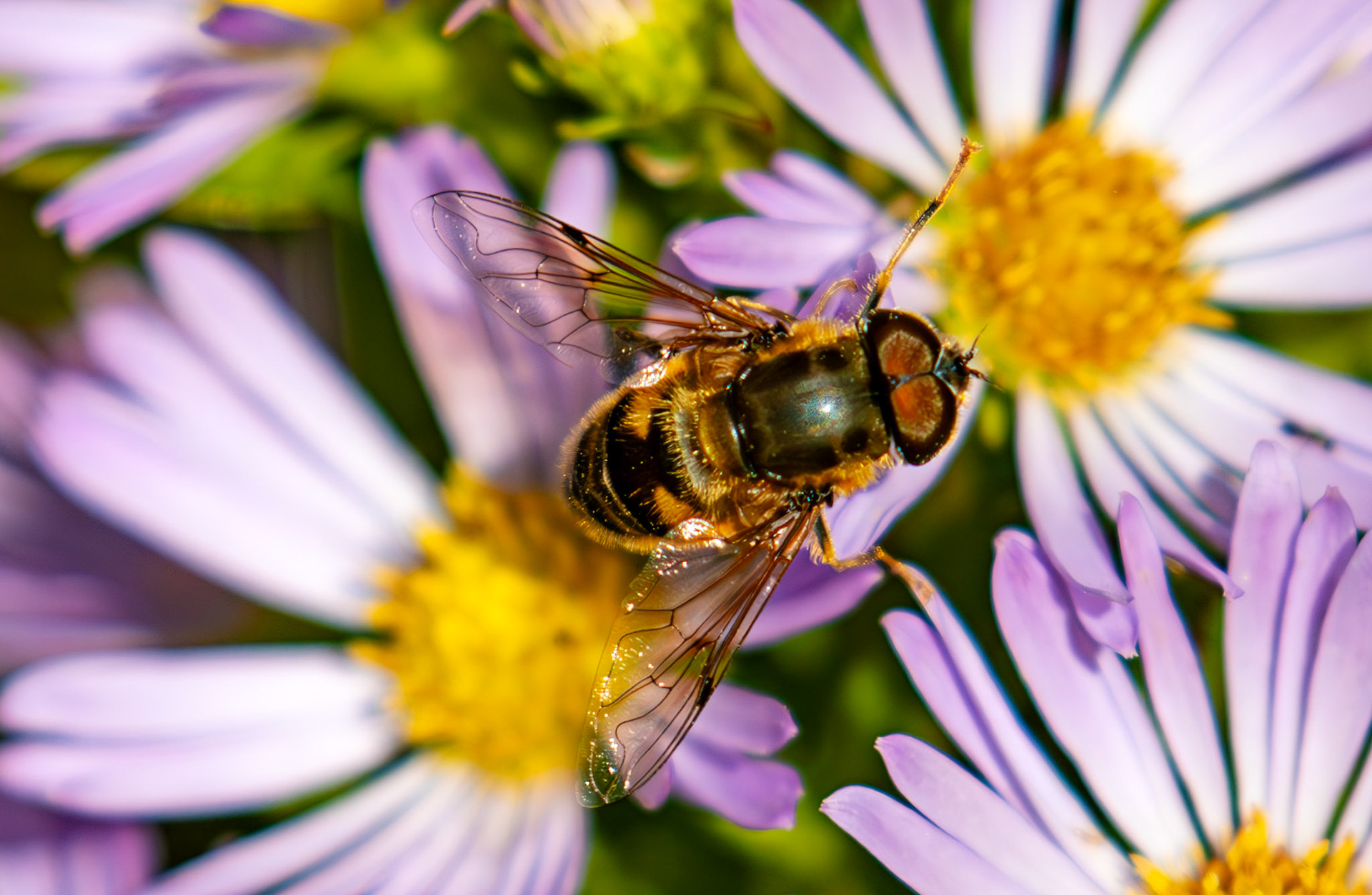 The Knock 12 Sept 2024