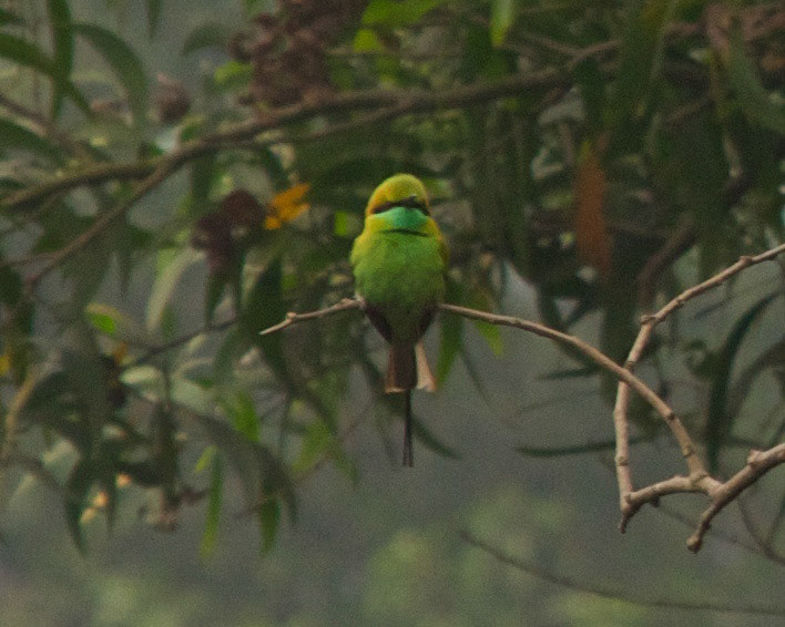 BangladeshPlease see my other Photographs at: http://www.jamespdeans.co.uk/
