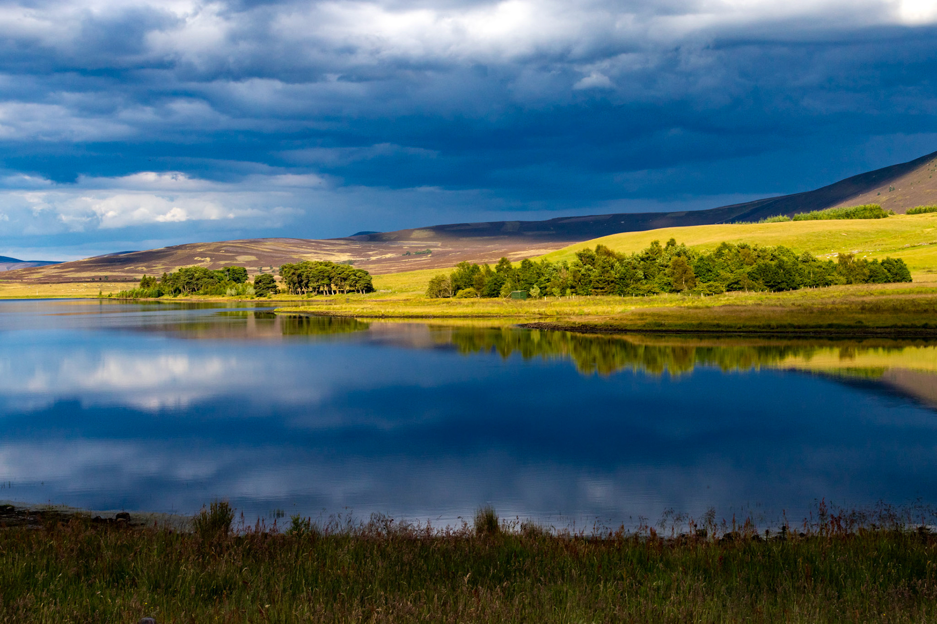 Harperrig 08 July 2024