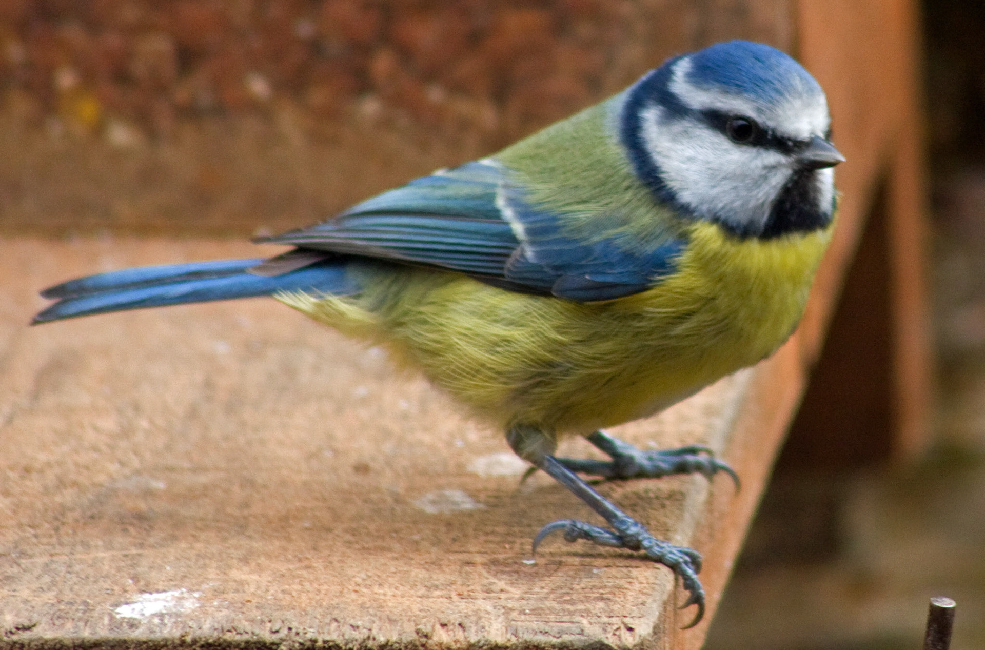 PerthshirePlease see my other Photographs at: http://www.jamespdeans.co.uk/