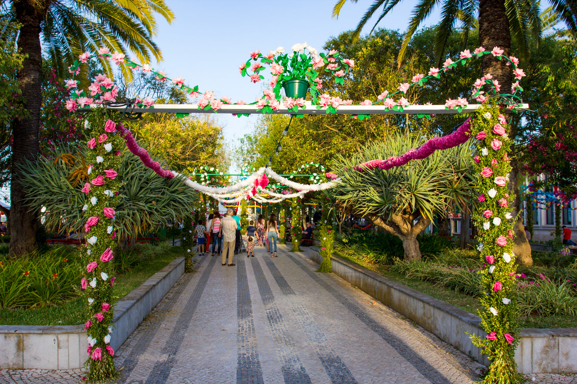 The street is all prepared for the Arraiais dos Santos Populares (or in English The Celebration of the Popular Saints). I don't know if they ever celebrate the unpopular saints! The roadway is strewn with fresh herbs, mainly basil I think.Please see my Photographs of Portugal at: http://www.jamespdeans.co.uk/p116503744