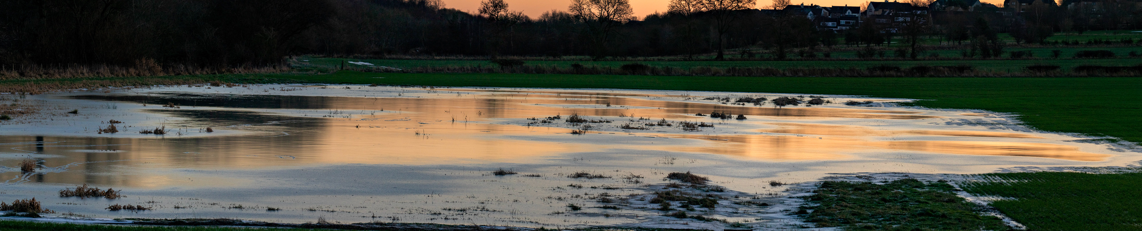 Bathgate Hills 08 January 2025