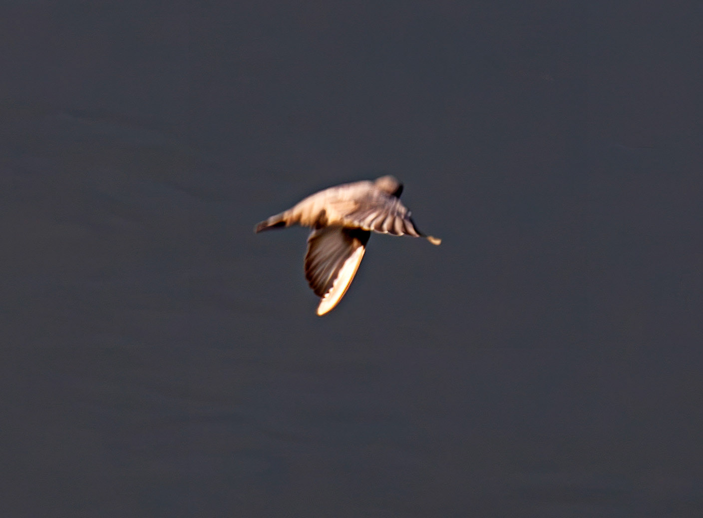 Crag Martin - Barca de Alva 22 August 2026