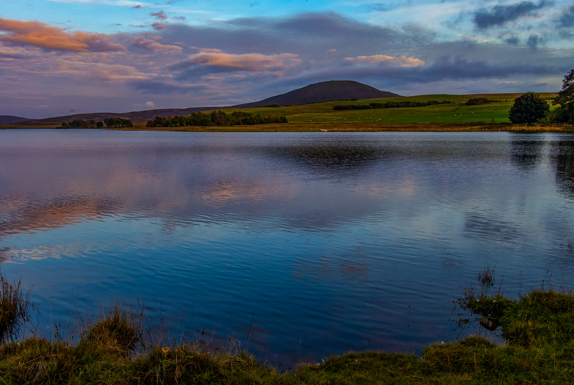 Harperrig 09 October 2023