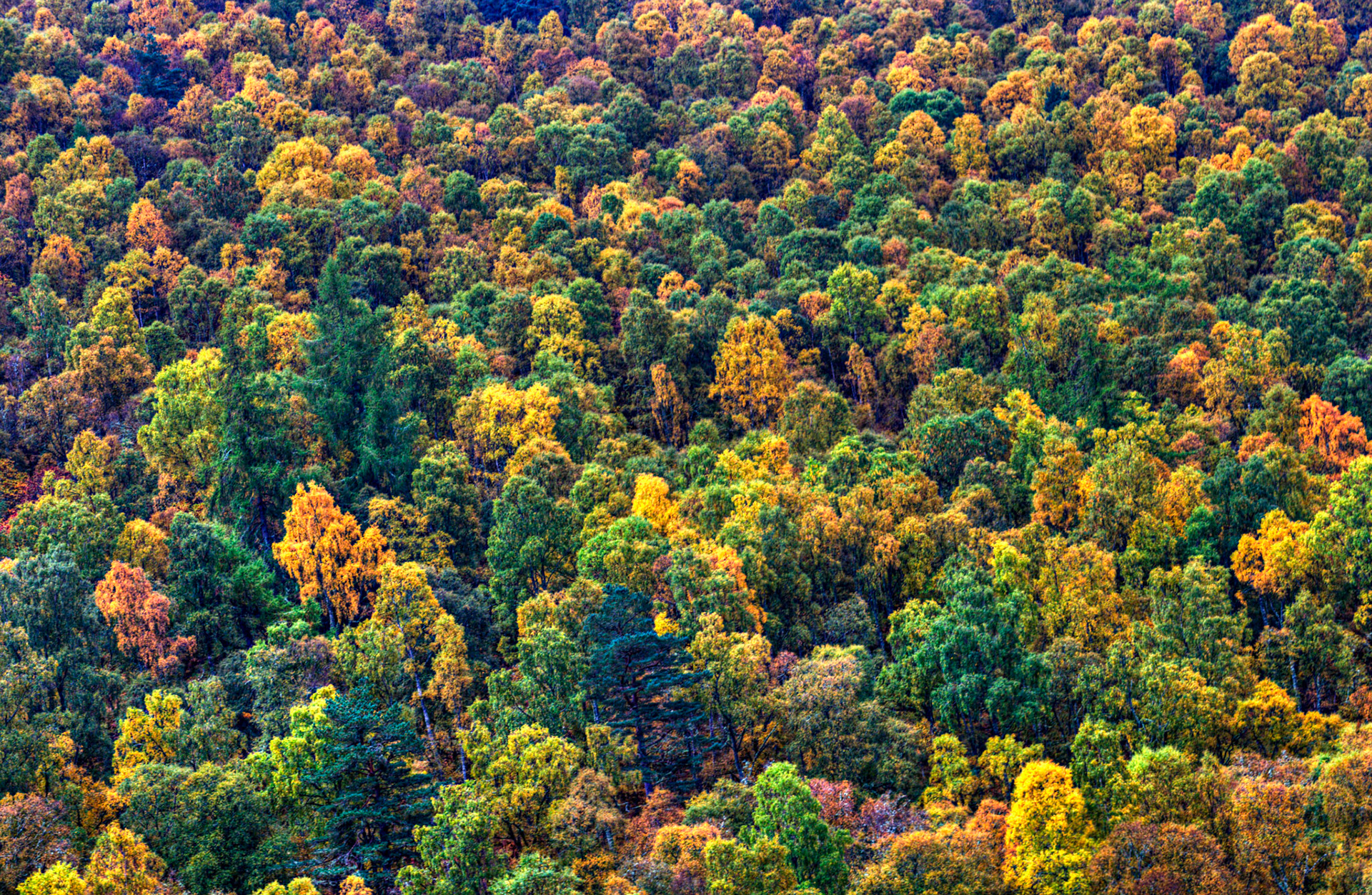 Autumn in Aberdeenshire 14 to 16 October 2022