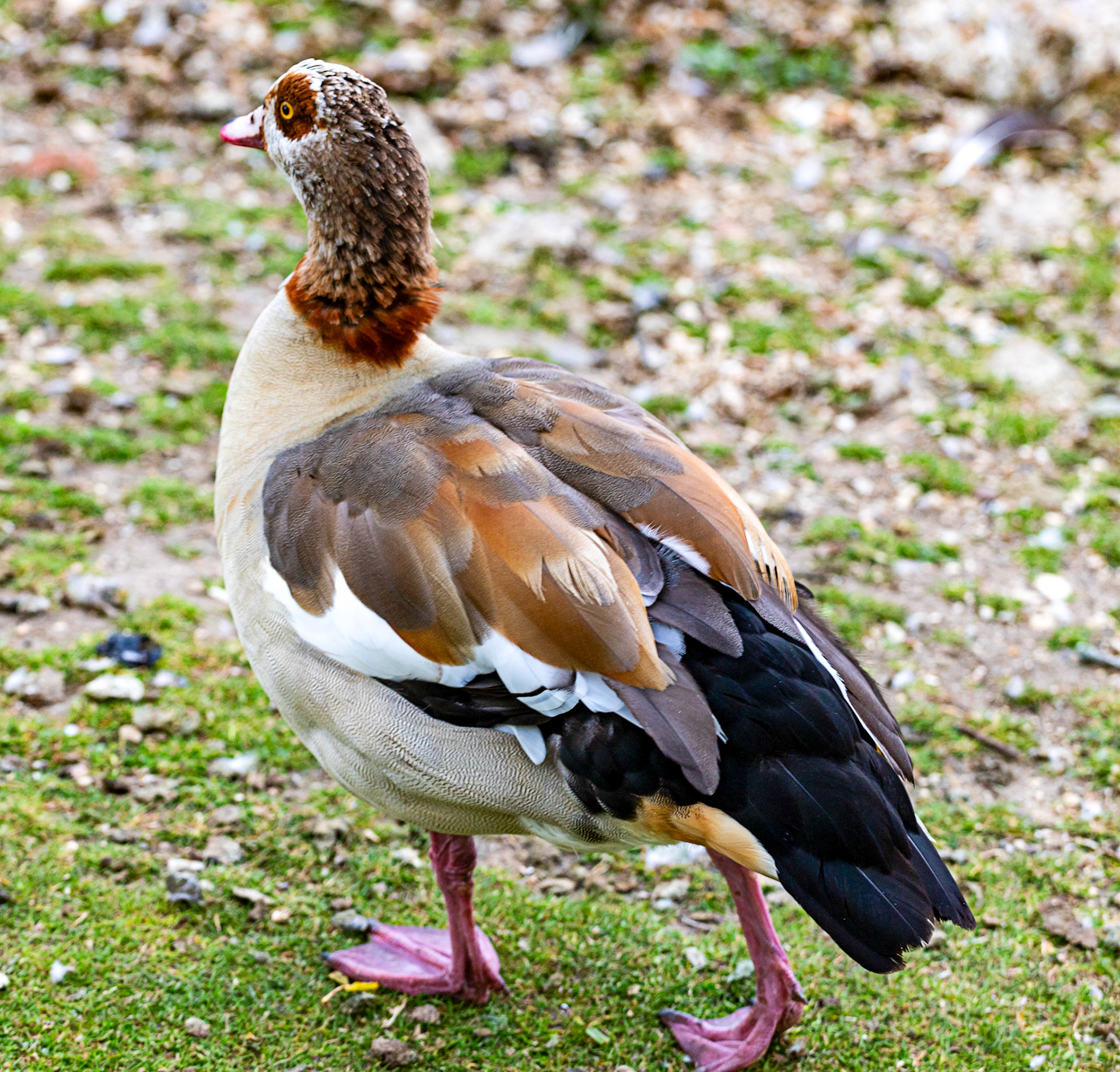 Reading 07 June 2024