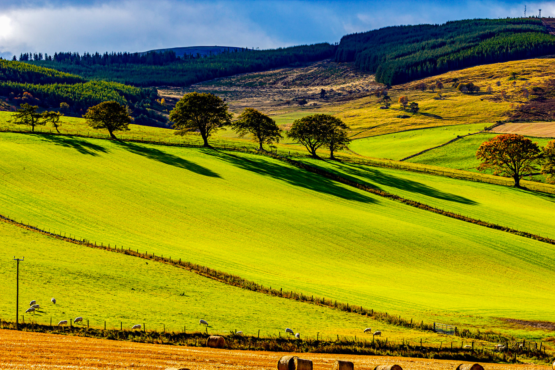 Autumn in Aberdeenshire 14 to 16 October 2022