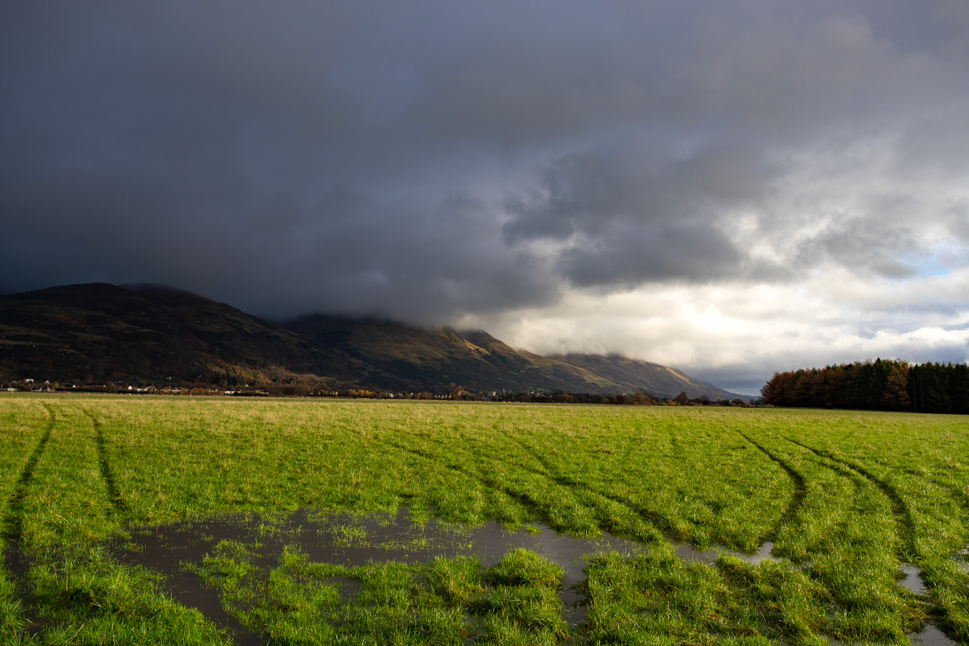 Gogar near Menstrie 12 November 2025
