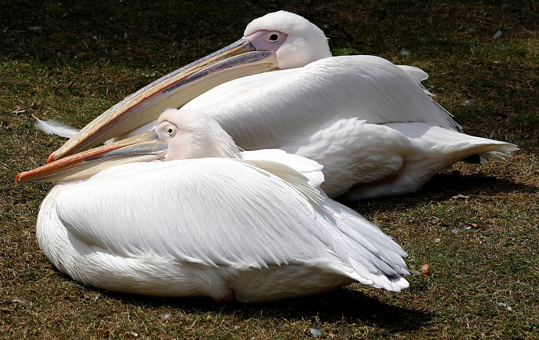 LondonPlease see my other Photographs at: http://www.jamespdeans.co.uk/