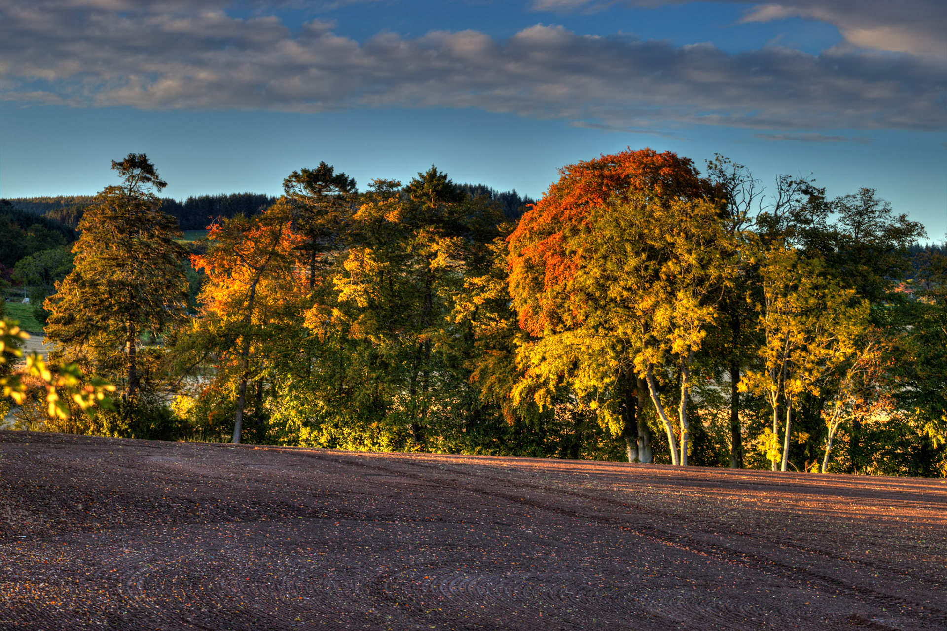 Autumn in Aberdeenshire 14 to 16 October 2022