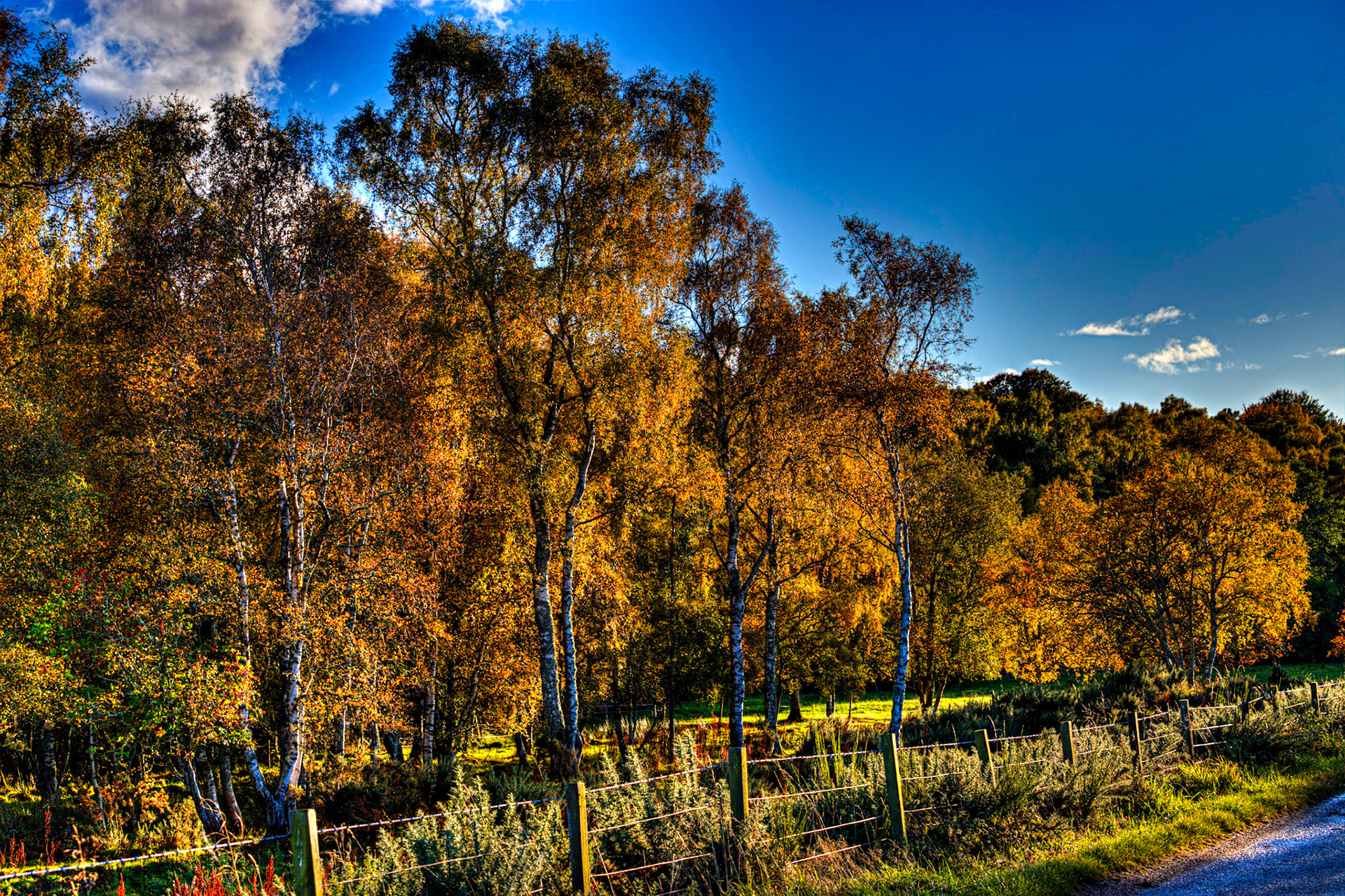 Autumn in Aberdeenshire 14 to 16 October 2022